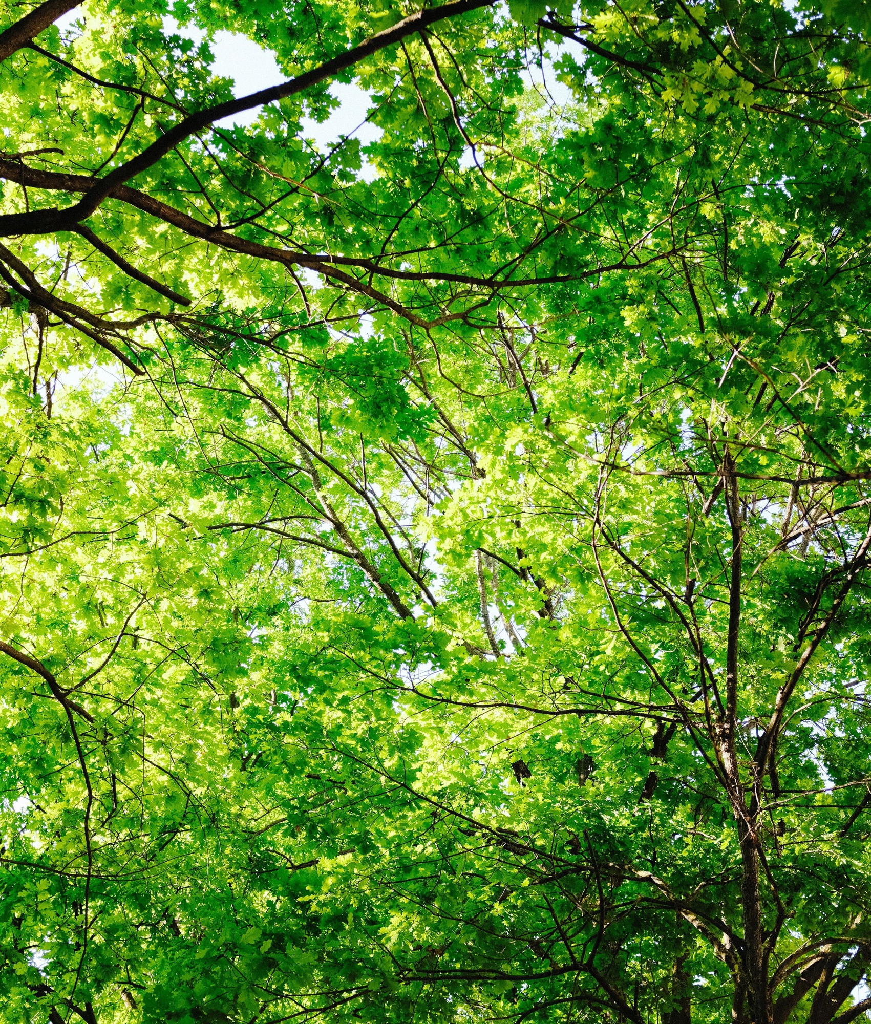 pexels-adrien-olichon-1257089-12067501 pexels-adrien-olichon-1257089-12067501