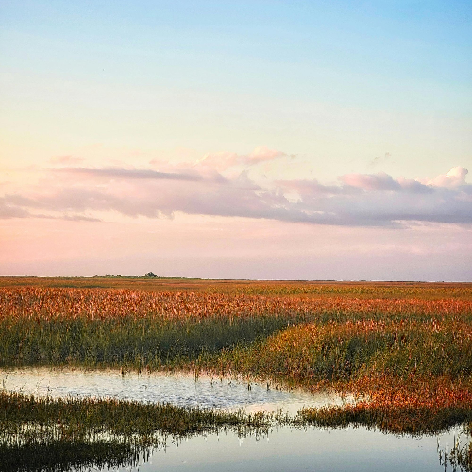 pexels-dudubangbang-28641715