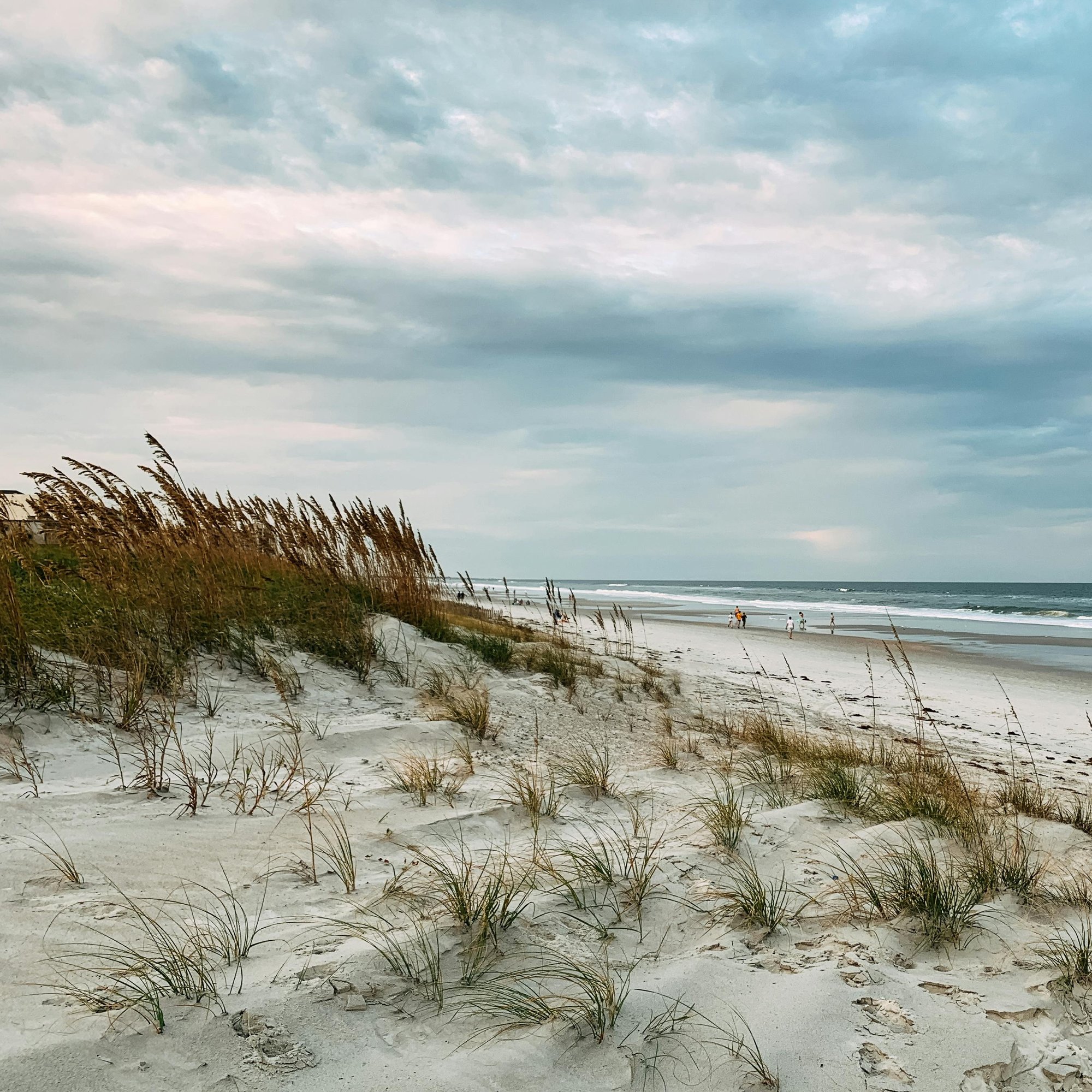 pexels-monica-5445510