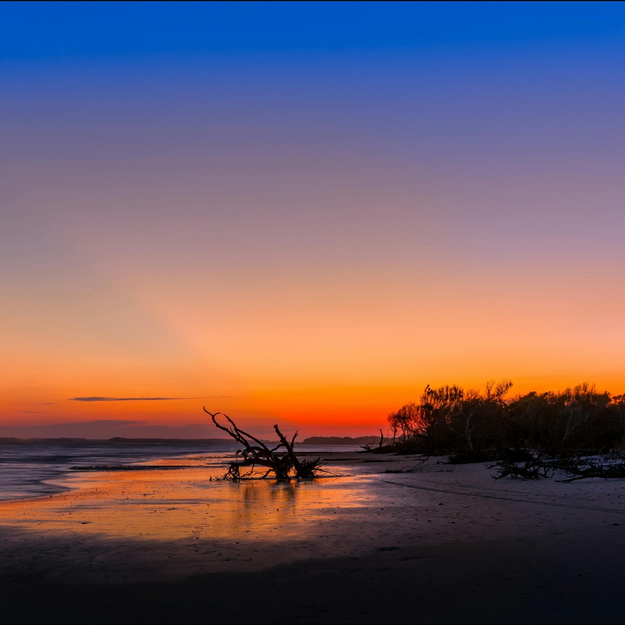 pexels-rlpeebles-731648