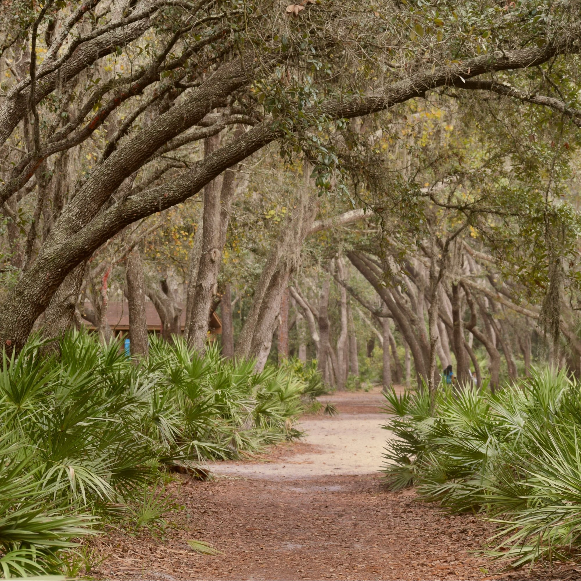 praswin-prakashan-2PvFbEVsC00-unsplash